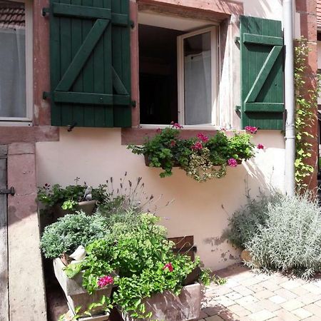 Charmant Petit Appartement En Alsace Bouxwiller  Exterior photo
