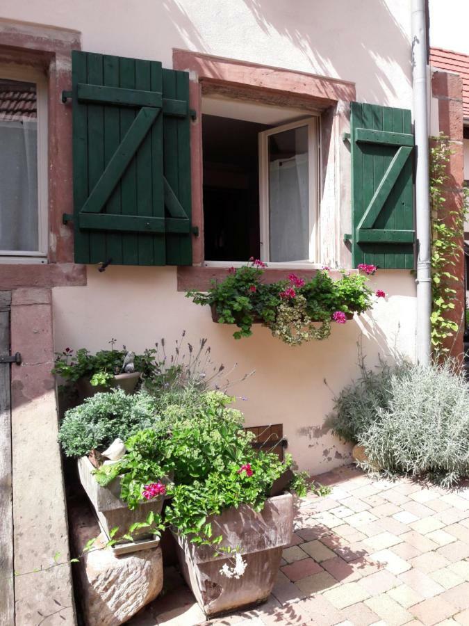 Charmant Petit Appartement En Alsace Bouxwiller  Exterior photo